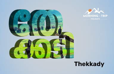 Thekkady Periyar Adventure