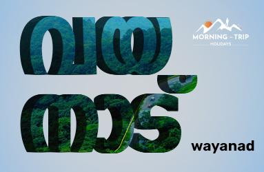 Wayanad Wildlife Trails