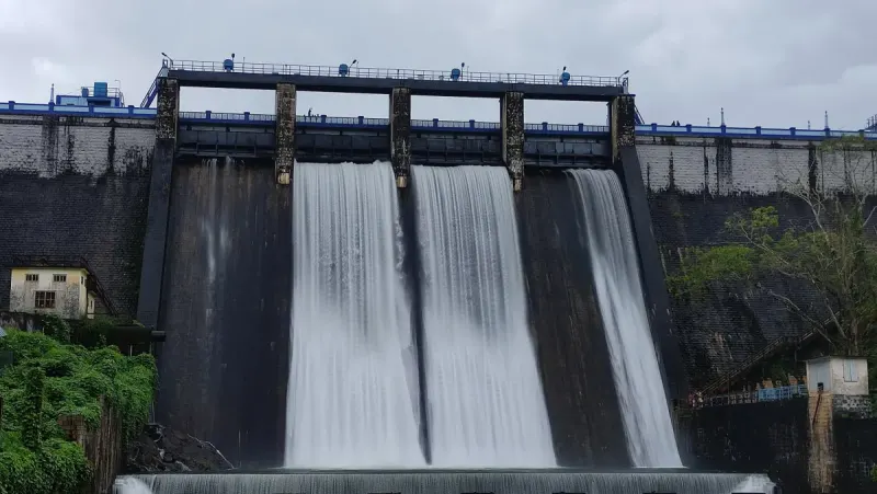 Forests, Birds And A Roaring Spillway At Peechi
