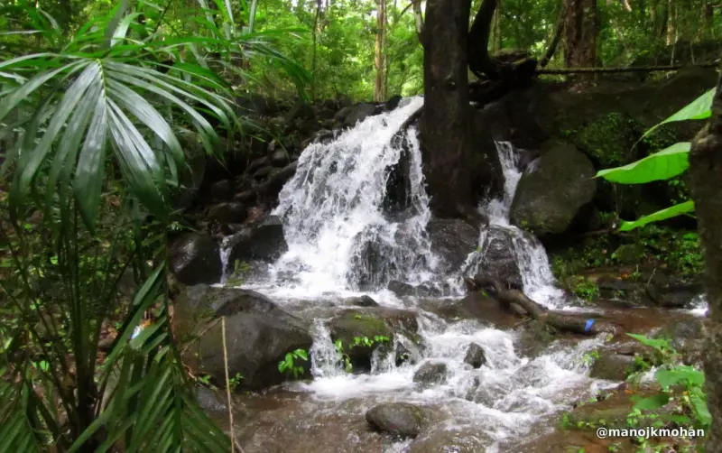 Thumboormuzhi River Garden: A Quiet First Stop On The Athirappilly Road