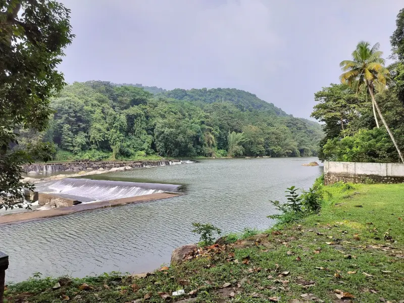The Old Weir At Thumboormuzhi And The Hanging Bridge