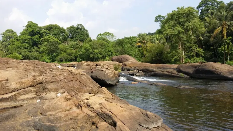തുമ്പൂർമുഴി ശലഭോദ്യാനത്തിലെ ഒരു പ്രഭാതം