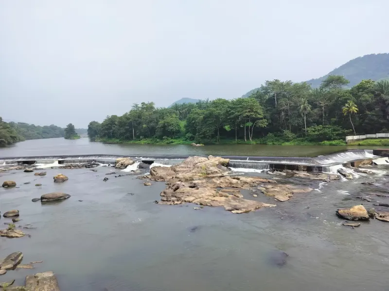 A Riverside Homestay Night Near Thumboormuzhi