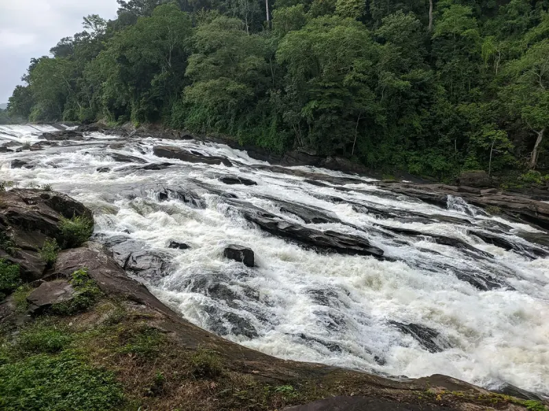 Vazhachal: Where The Chalakudy River Races Through The Forest