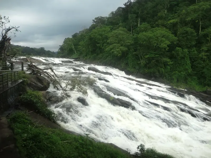 Vazhachal: Where The Chalakudy River Races Through The Forest