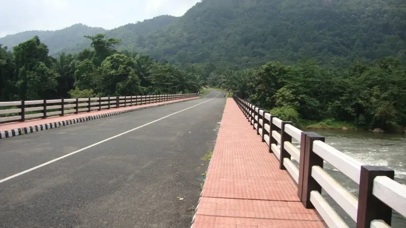 വെറ്റിലപ്പാറ പാലത്തിനരികിലെ നാടൻ ഊണ്
