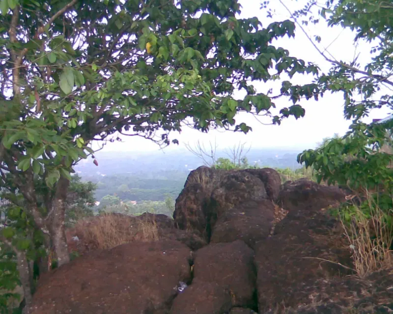 വിലങ്ങൻ കുന്നിന് മുകളിൽ നിന്നൊരു തൃശ്ശൂർ കാഴ്ച