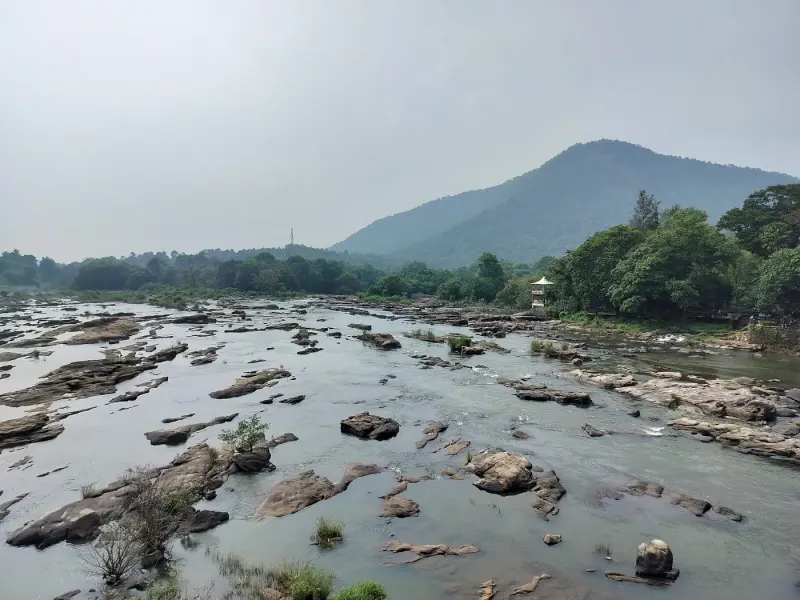 Thumboormuzhi