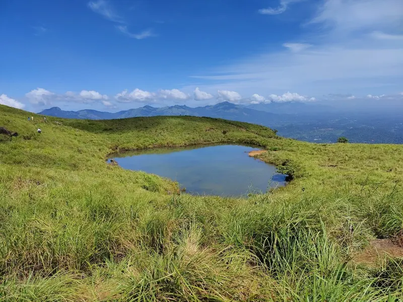 A Coffee Plantation Homestay In Wayanad