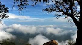 Nelliyampathy Hill Drive