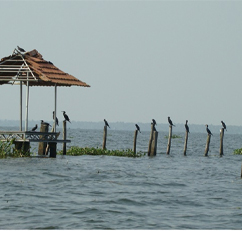 Kumarakom