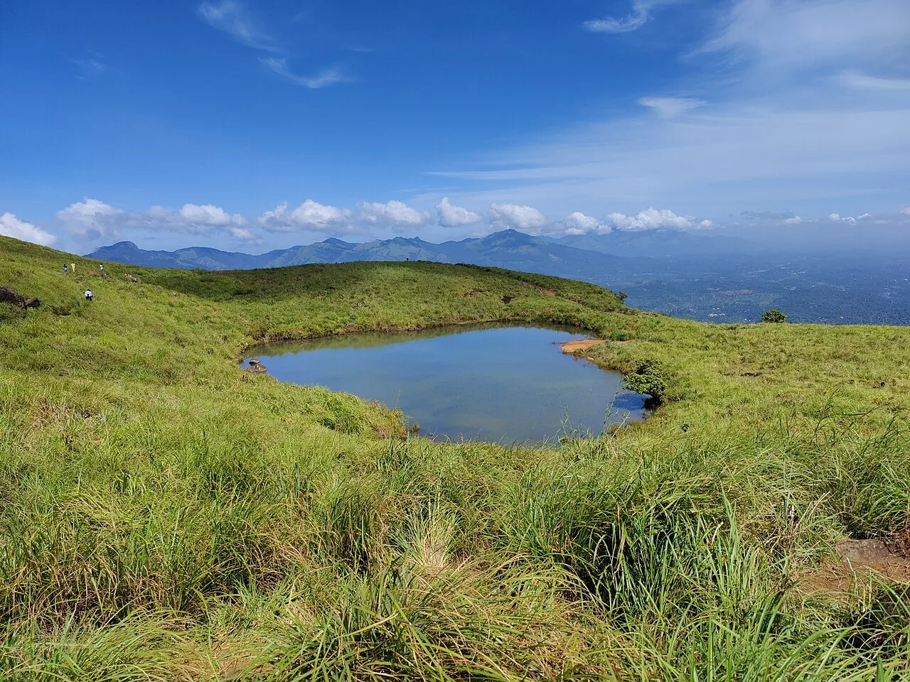 Wayanad